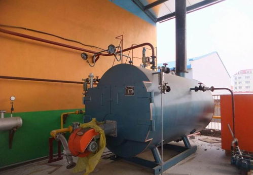 徐州銅山地區(qū)燃?xì)庹羝l(fā)生器與常壓鍋爐市場(chǎng)價(jià)格及選購指南